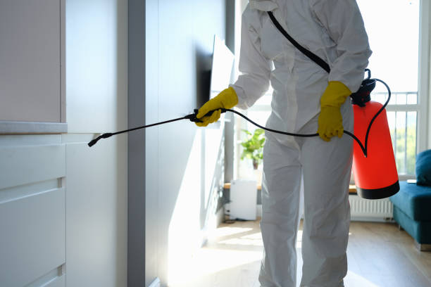 Best Office Mold Removal Services  in Montverde, FL