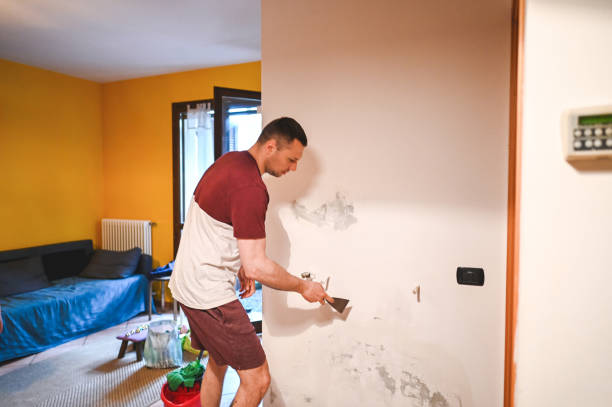 Best Home Mold Removal  in Montverde, FL